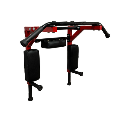 Mac - 9025AL - Chin-Up Bar with Dip Stand & Leg Raise for Home & Commercial Purpose (Wall Mounted)